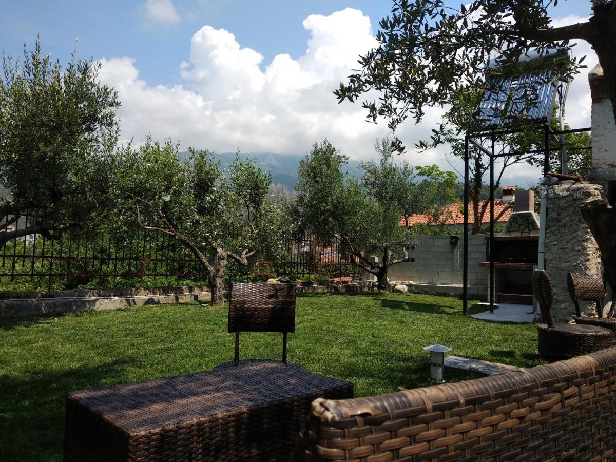 Villa Agnanti Apts And Suites Agio Pnevma Экстерьер фото