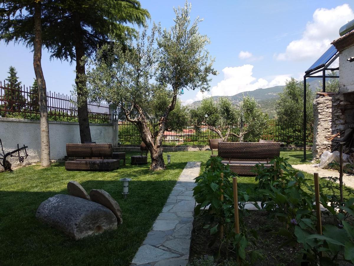 Villa Agnanti Apts And Suites Agio Pnevma Экстерьер фото